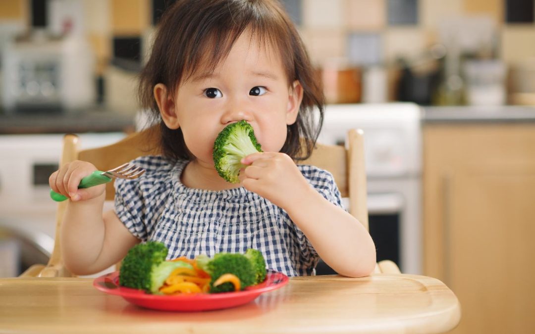 small toddler eating broccoli